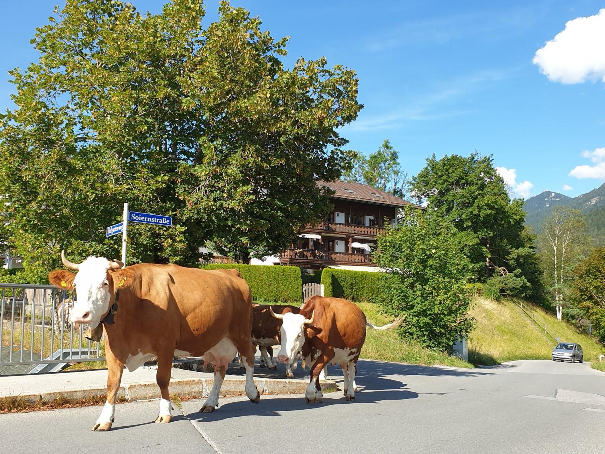 Haus Abendsonne Familie Druxes Apartamento Krün Exterior foto